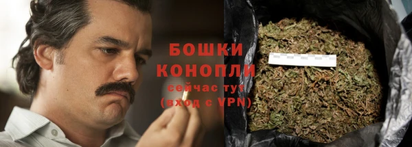 ГАЛЛЮЦИНОГЕННЫЕ ГРИБЫ Верхний Тагил
