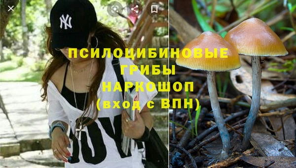 ГАЛЛЮЦИНОГЕННЫЕ ГРИБЫ Верхний Тагил