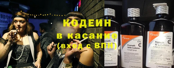 крисы Верея
