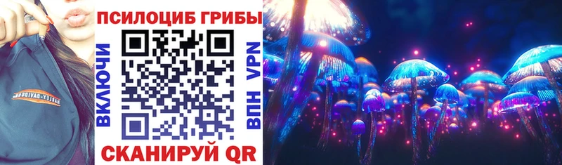 Галлюциногенные грибы Psilocybe  Купить  Отрадная 
